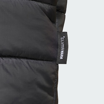 Giacca per outdoor 'Essentials' di ADIDAS TERREX in nero