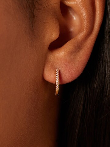 Lucardi Earrings in Gold: front