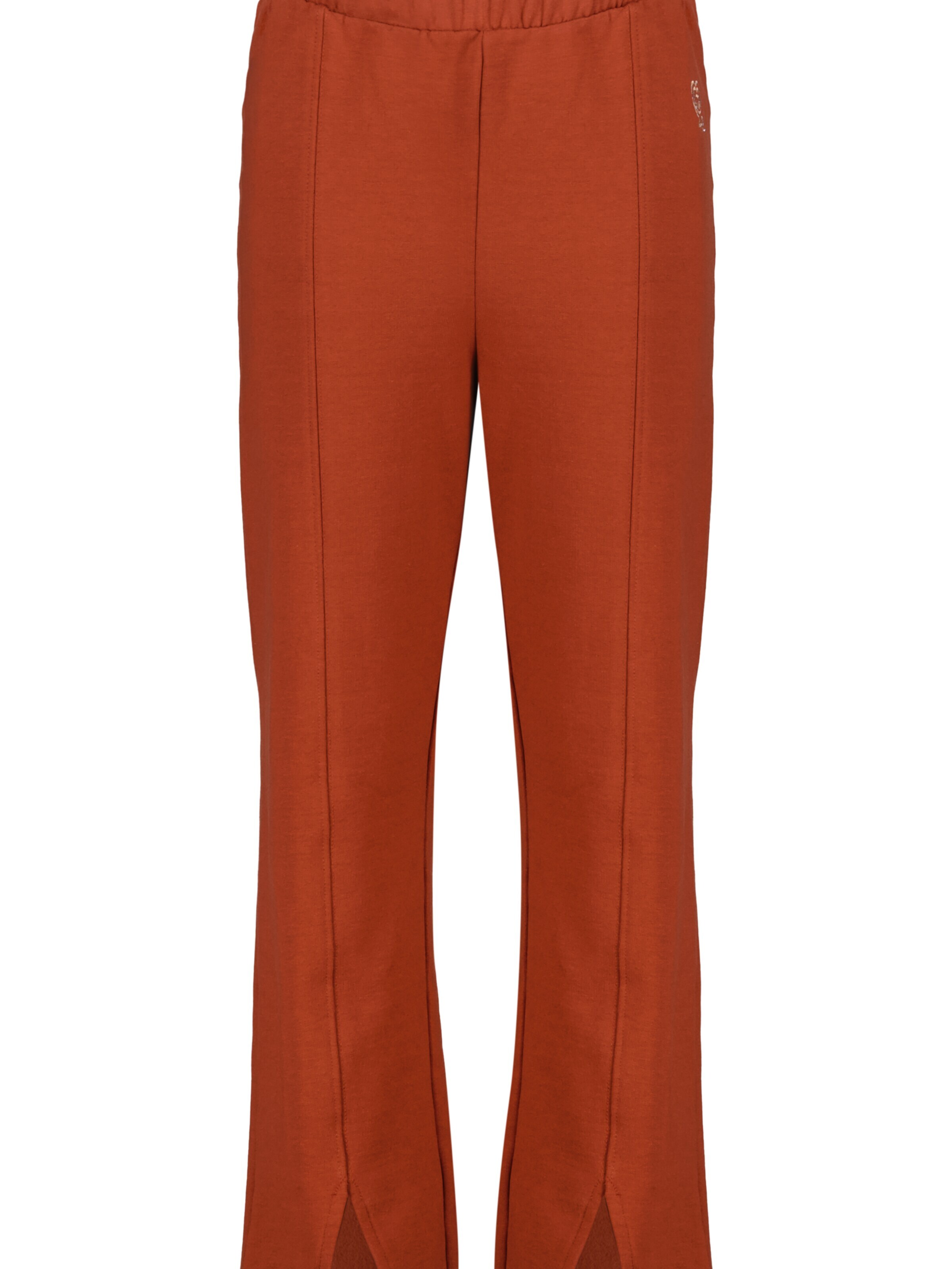 4PRESIDENT Regular Pants 'Isla' in Brown: front