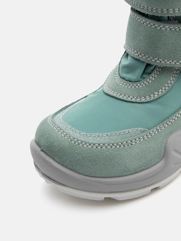 PRIMIGI Škornji 'PWIGT' | zelena barva