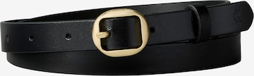 Calvin Klein Ремень в Черный: спереди