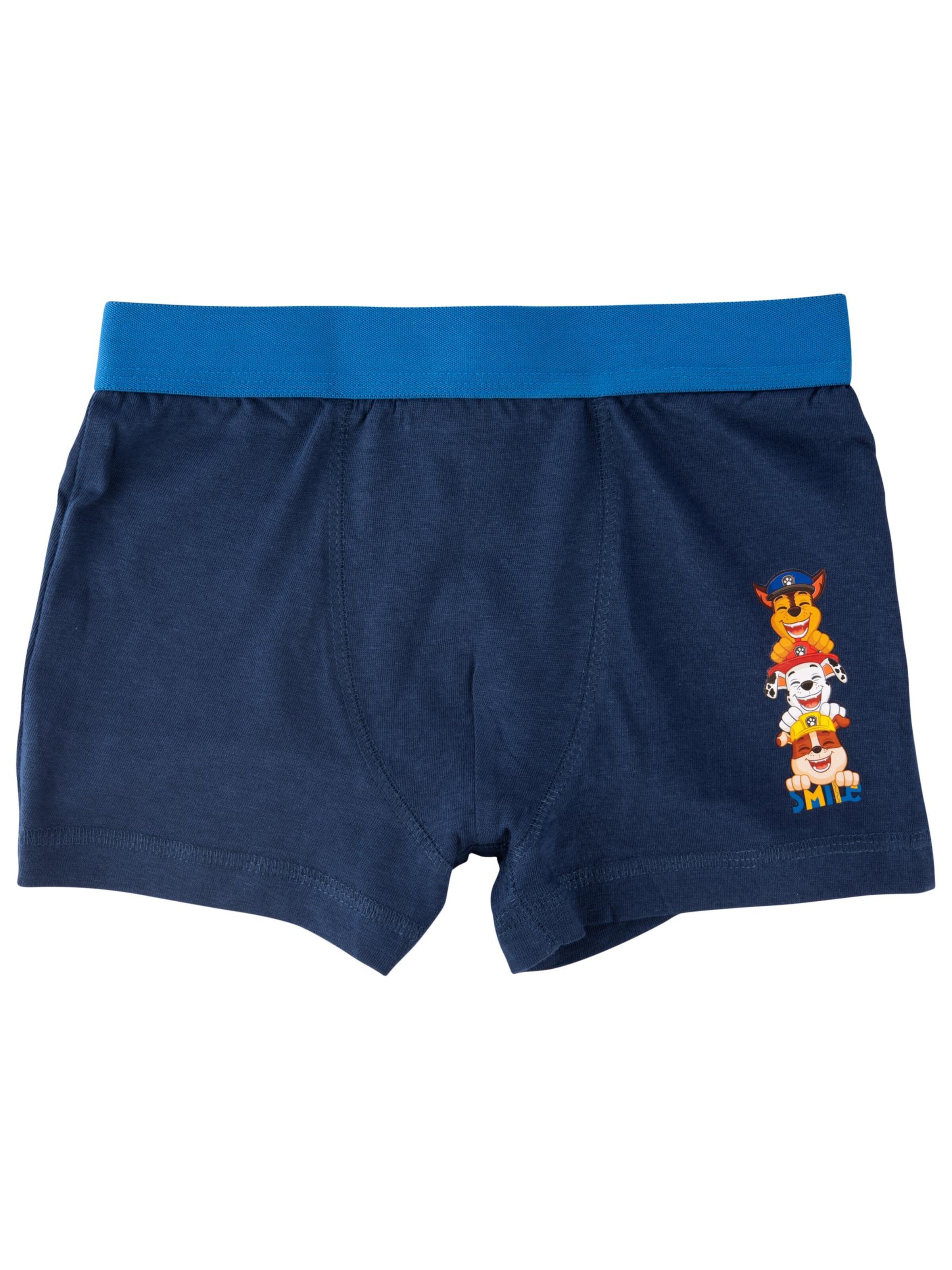 Paw Patrol Underpants in Blue