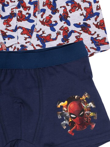 SPIDERMAN Underpants 'Marvel' in Mixed colors