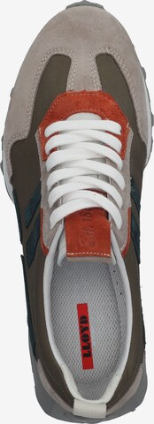 LLOYD Sneakers laag in Gemengde kleuren