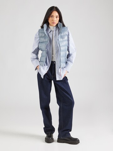 Gilet di TOMMY HILFIGER in blu