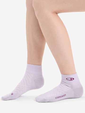 ICEBREAKER Sportovní ponožky – šedá