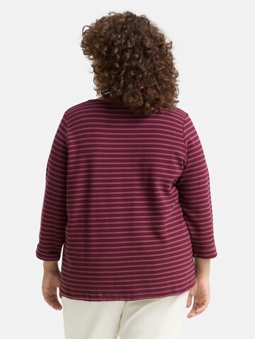 Tom Tailor Women + Shirt in Pink