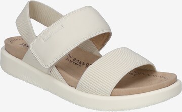 Westland Sandals 'Albi 07' in White