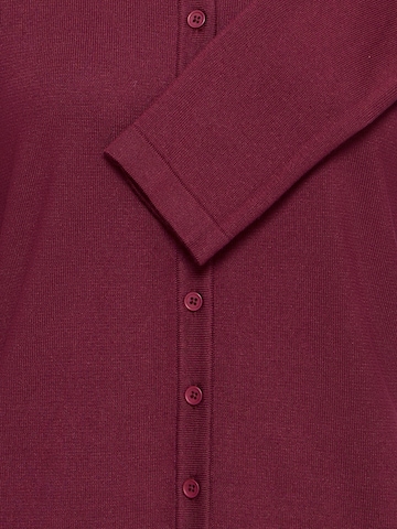 Cardigan 'IHLULS' ICHI en rouge