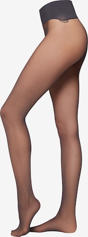 CALZEDONIA Strumpfhose in Blau: Vorderseite