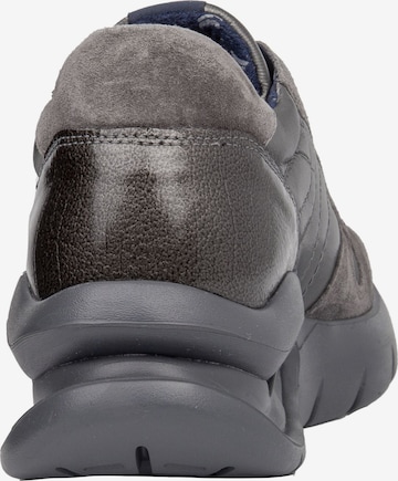 Callaghan Sneakers in Grey