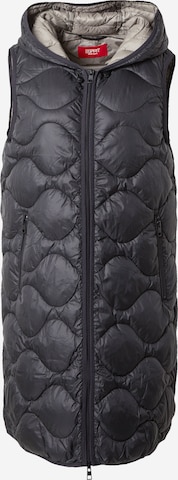 ESPRIT Bodywarmer in Zwart: voorkant