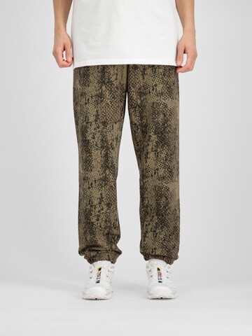 regular Pantaloni di ALPHA INDUSTRIES in beige: frontale