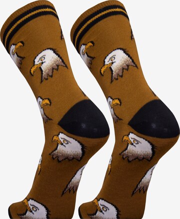 UphillSport Socks 'EAGLE' in Brown