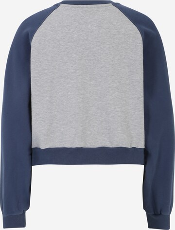 pilka LEVI'S ® Megztinis be užsegimo 'Vintage Raglan Crewneck Sweatshirt'