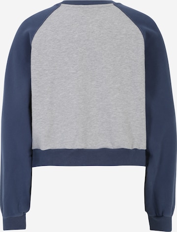 LEVI'S ® Sweatshirt 'Vintage Raglan Crewneck Sweatshirt' in Grau