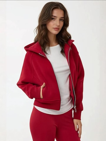 Hiccup Zip-Up Hoodie in Red