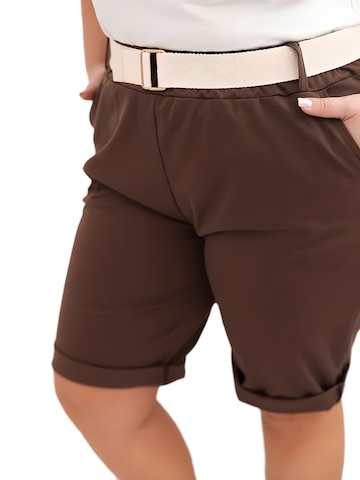 Lumera Broek in Bruin