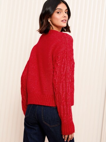 Friends Like These Pullover in Rot