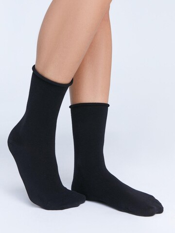 Albero Natur Socks 'Bio-Baumwoll-Socken mit Rollrand Unisex – 4er Pack' in Black