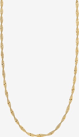 Nordahl Jewellery Kette 'LUX52' in Gold: predná strana