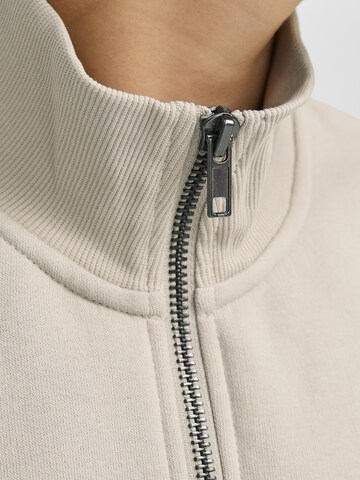 Sweat 'JJEBRADLEY' Jack & Jones Junior en beige