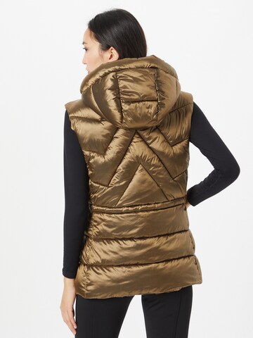 Gilet de sport 'HAUKHARJA' LUHTA en beige