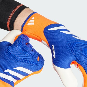 zils ADIDAS PERFORMANCE Sporta cimdi 'Predator Pro'