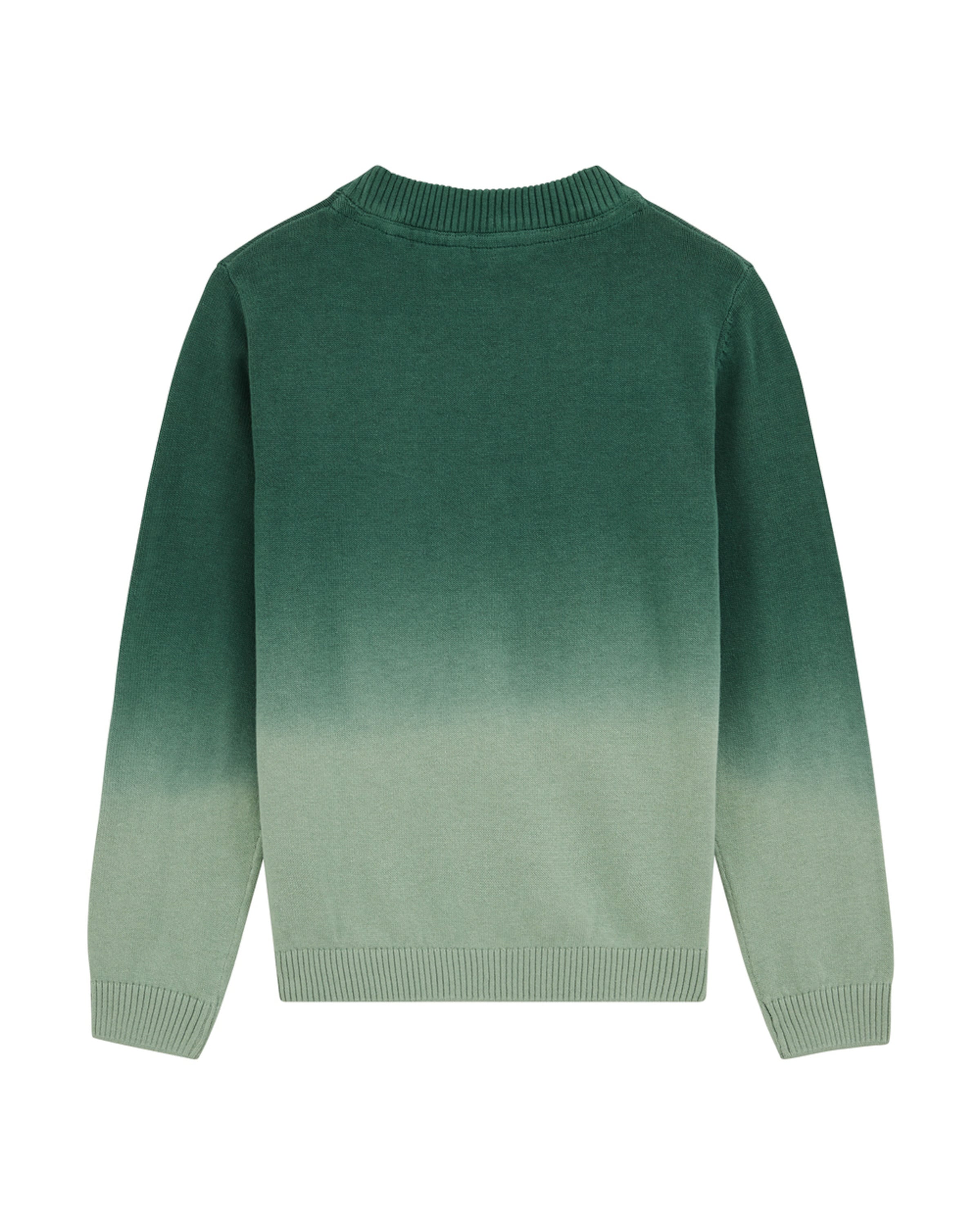 WE Fashion - Jersey en verde