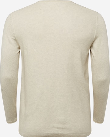 s.Oliver Sweater in Beige