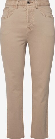 Studio Untold Pants in Beige: front