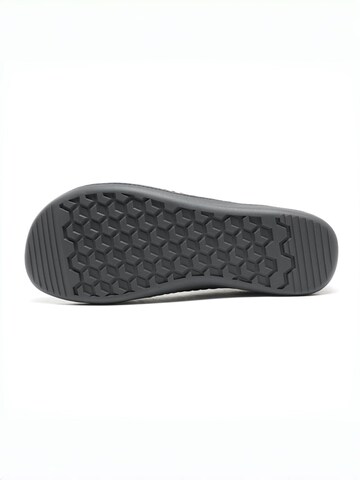 HUSKSWARE Slipper‌‌‌‌‌‌‌‌‌‌ in Grau