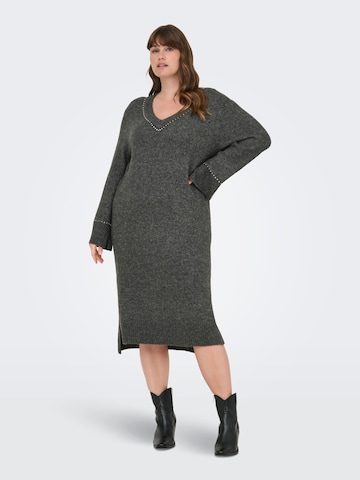 Robes en maille 'CARElsie' ONLY Carmakoma en gris : devant