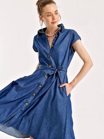 Bigdart Särkkleit, värv sinine