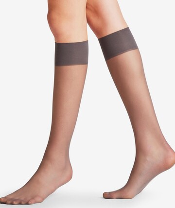 FALKE Knee High Socks 'Pure Matt' in Grey: front