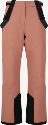 Whistler Workout Pants in Brown: front