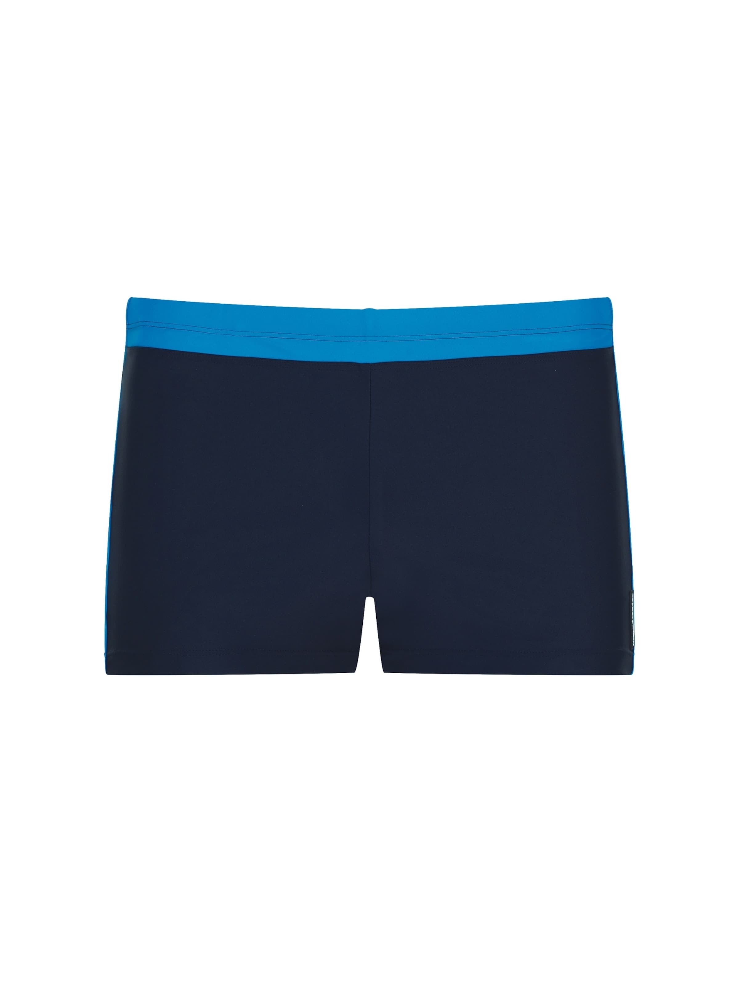 wavebreaker Swim Trunks in Blue: front