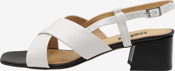 usha BLACK LABEL Sandalen met riem in Wit: voorkant