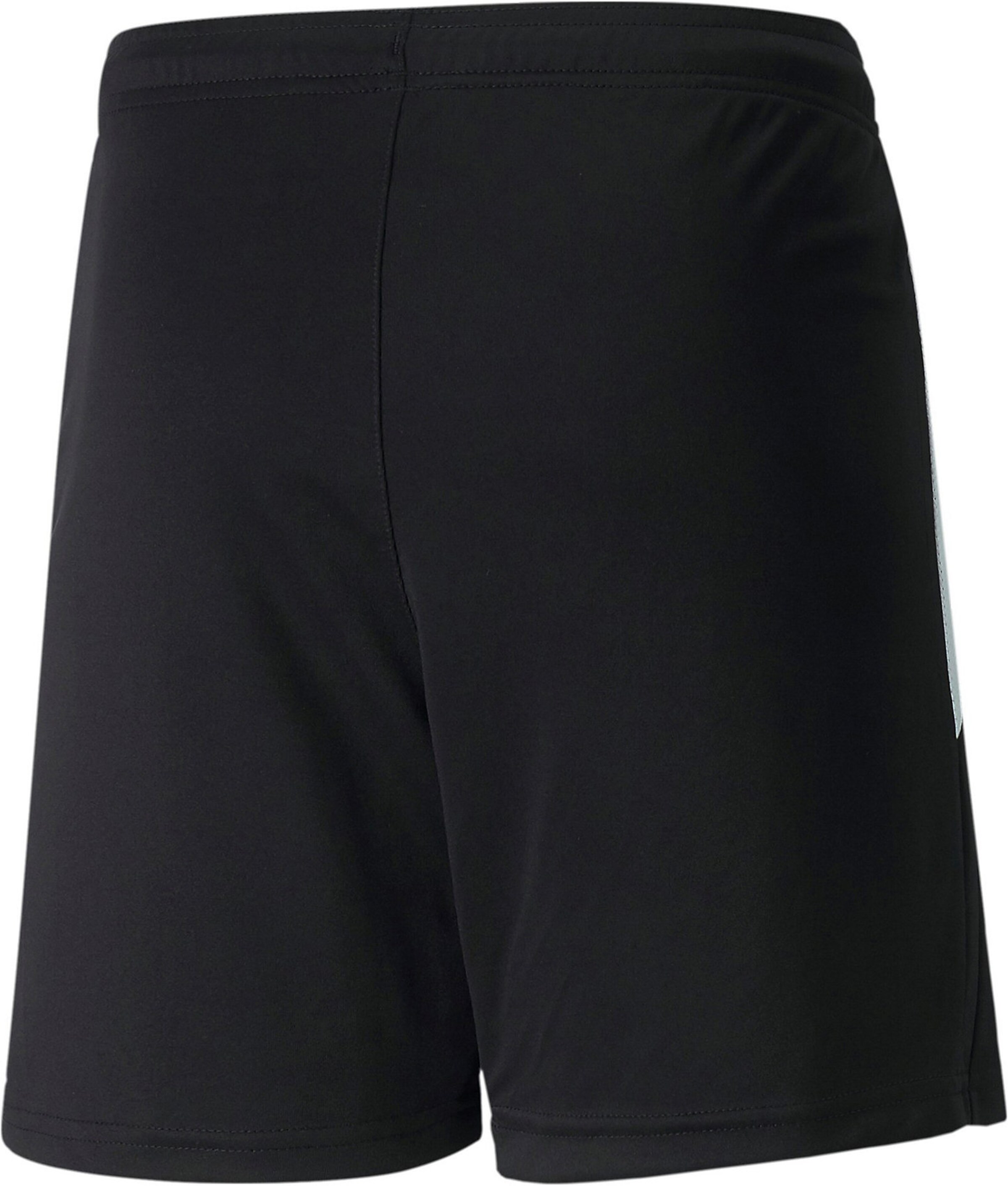 Regular Pantalon de sport 'TeamLiga' PUMA en noir