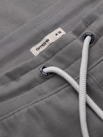 regular Pantaloni sportivi di Ombre in grigio