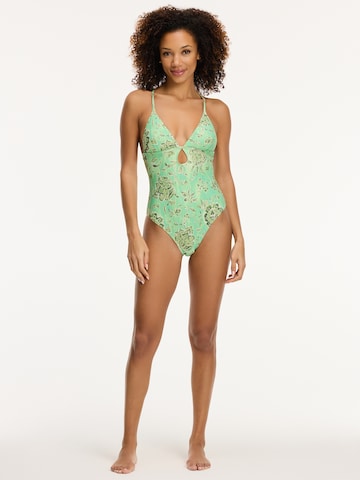 Shiwi Triangle Swimsuit in Green