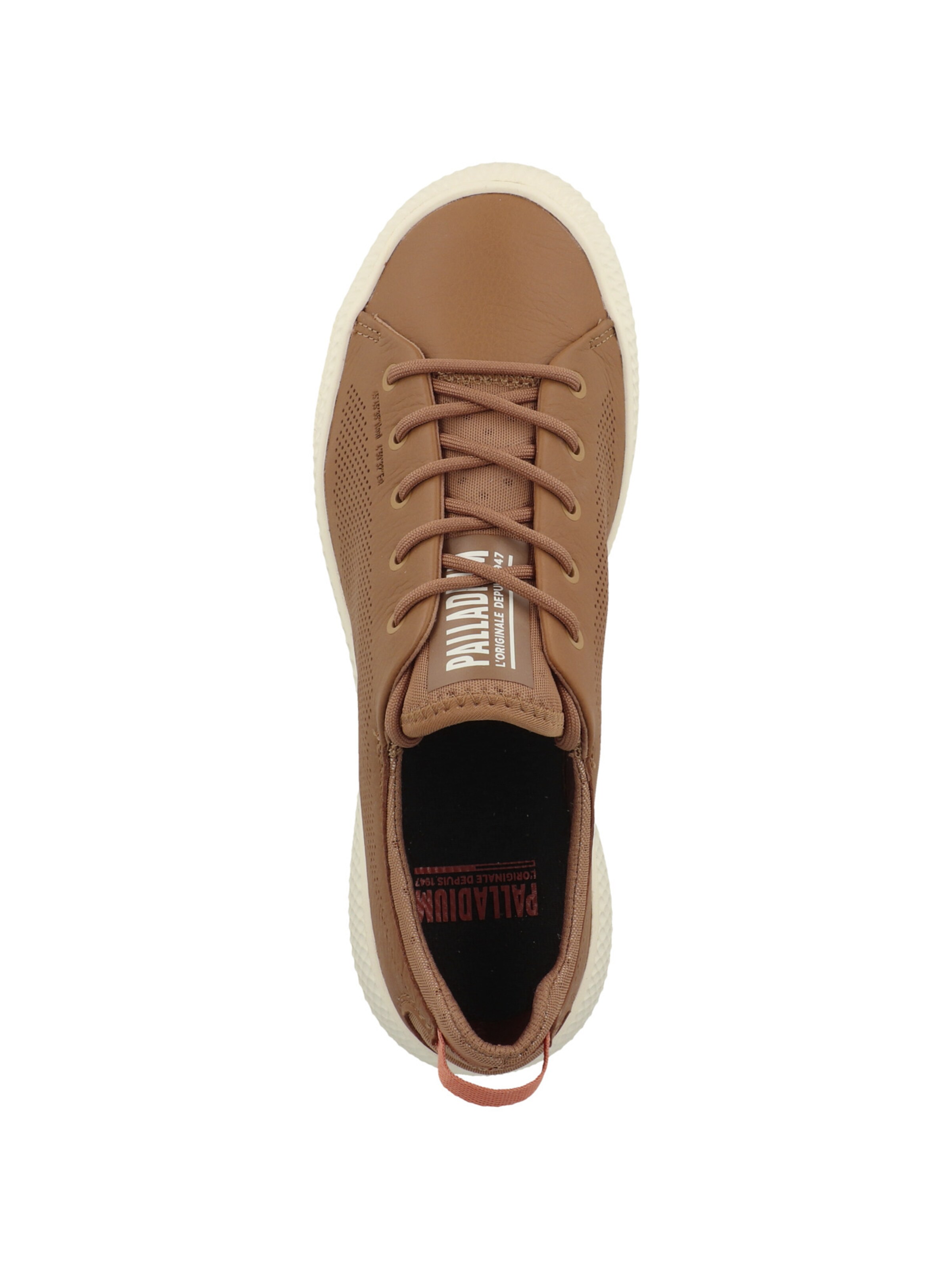 Palladium - Sapatilhas baixas 'Pallanova' em castanho