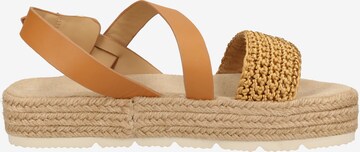 GANT Sandals in Brown