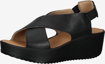 IGI&CO Sandals in Black: front