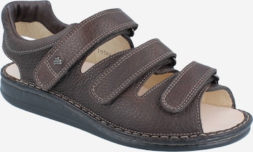 Finn Comfort Sandals in Brown