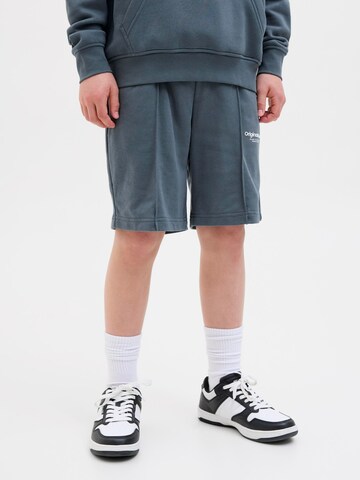 regular Pantaloni 'Vesterbro' di Jack & Jones Junior in grigio: frontale