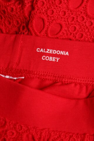 CALZEDONIA Shorts in S in Red