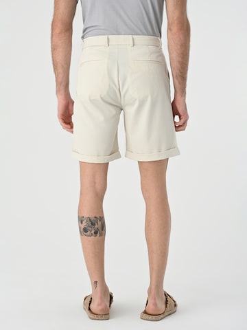 regular Pantaloni con pieghe di Antioch in beige