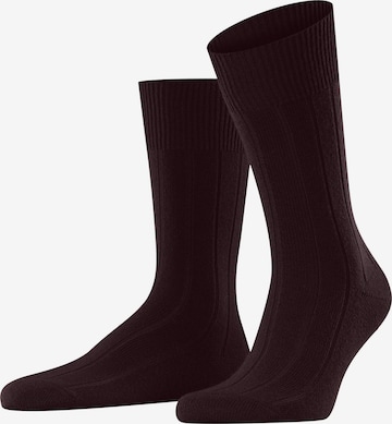 FALKE Socks 'Lhasa Rib' in Red: front