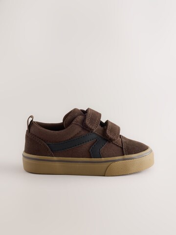 Next Trainers in Brown